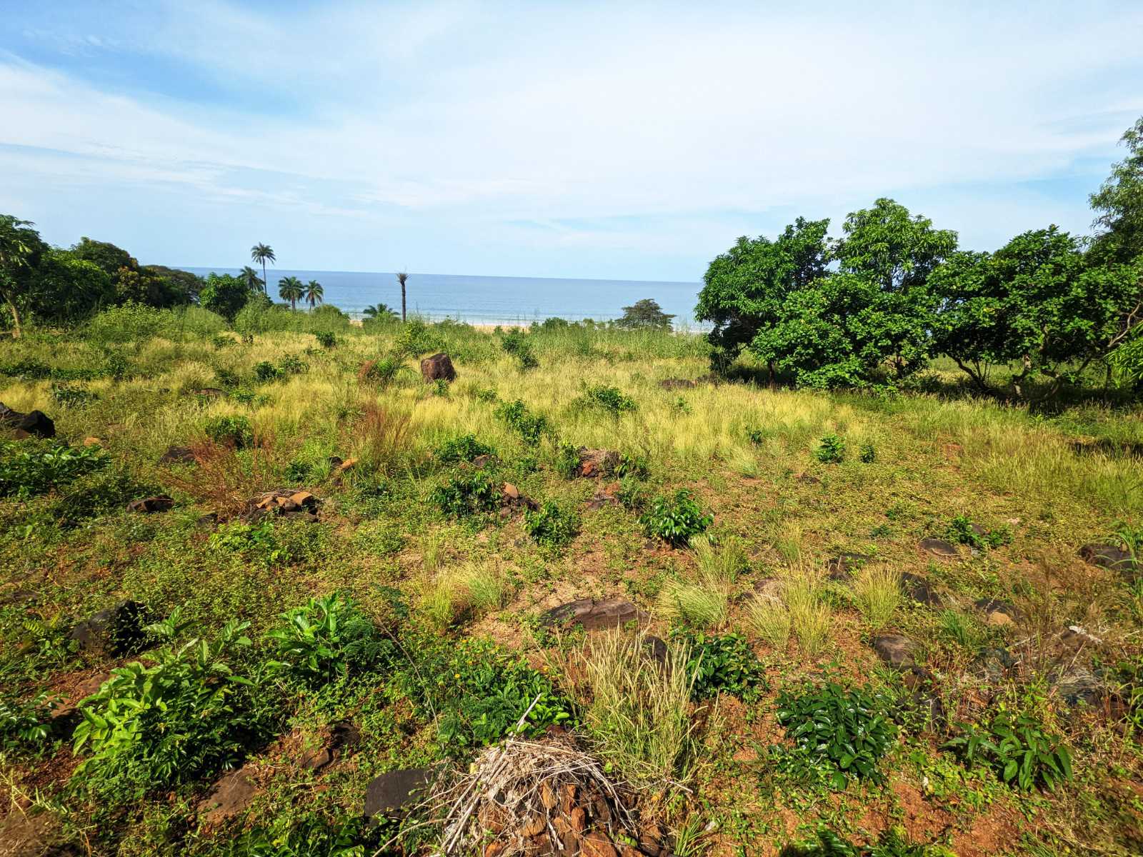 Land for sale at Number 2